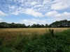 DSC04453